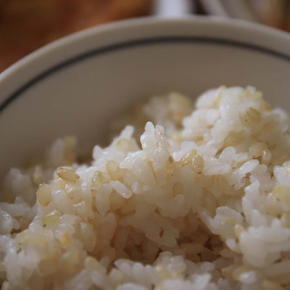 【定期配送（超好康）固定補米方案】令和七年 新潟妙高 服部米蔵越光米